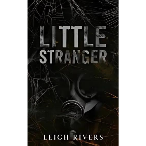 Little Stranger by Leigh Rivers