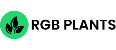 Client 2
